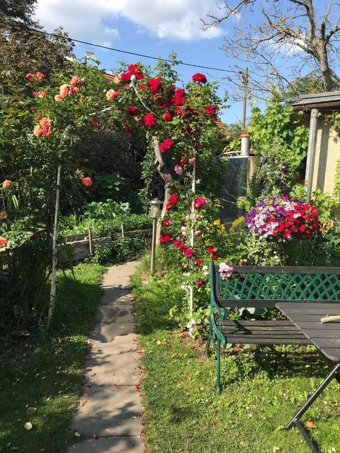 Wohnen Im Eulengarten Oranienburg Extérieur photo